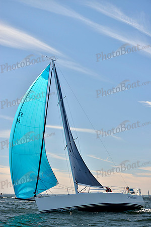 2017 Vineyard Race A_0652