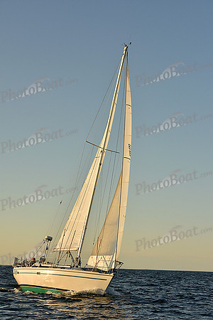 2016 Newport Bermuda Race_2779