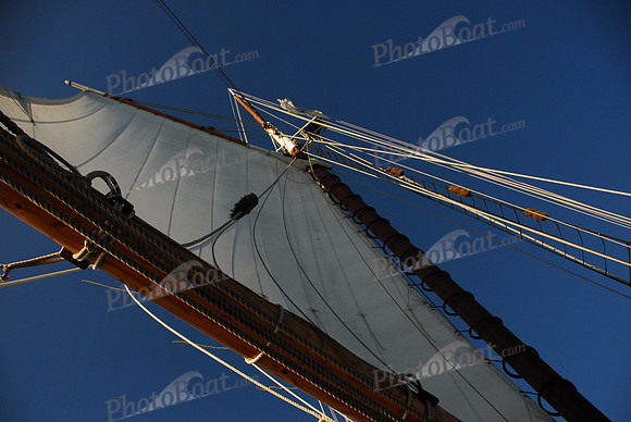 Schooner Main
