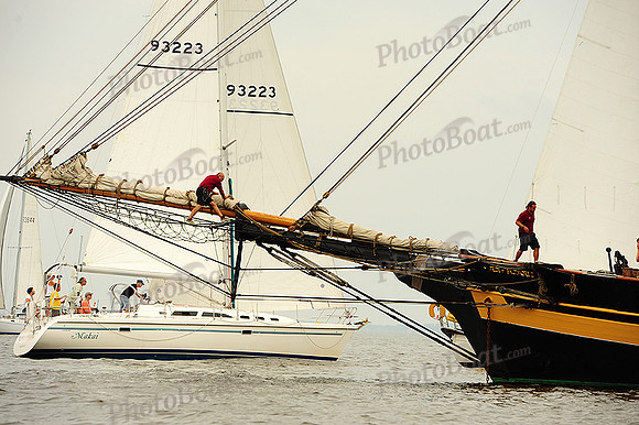 2014 Gov Cup A 113