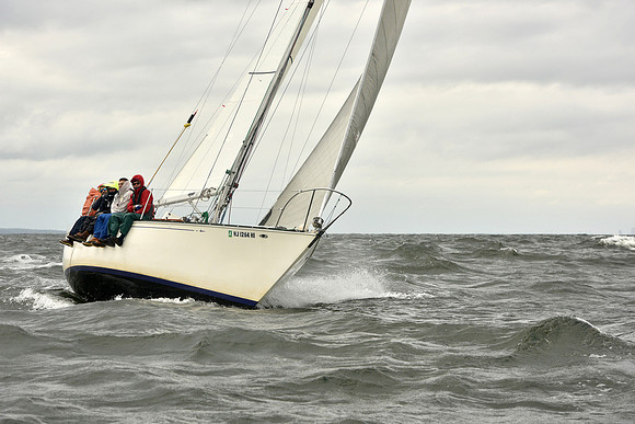 2018 Vineyard Race A_0782