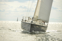 2016 Vineyard Race A_1739