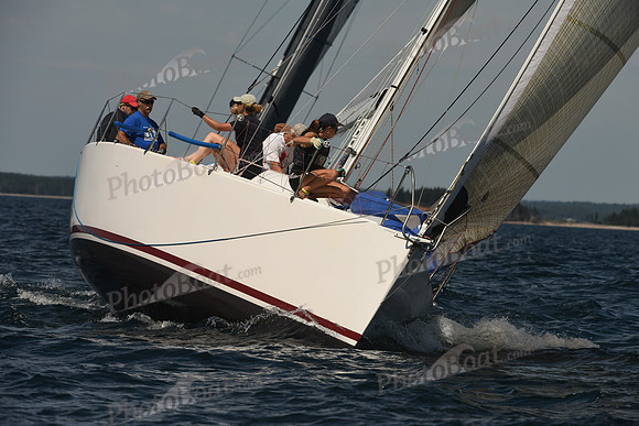 2016 Chester Race Week A_0021