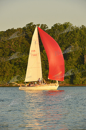 2015 Gov Cup C 442