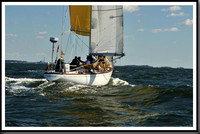 proof_2010_Vineyard_Race_0478