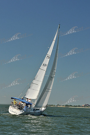 2013 Southern Bay Race Week C 1238