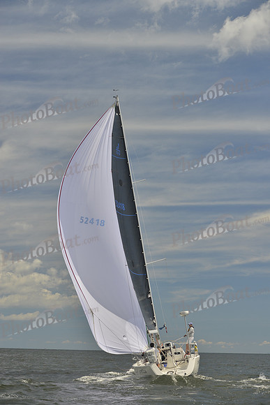 2016 Vineyard Race A_0570
