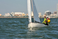 2012 Thistle Midwinters B 317
