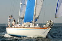 2012 Vineyard Race A 308
