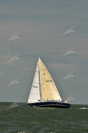 2013 Southern Bay Race Week D 1295