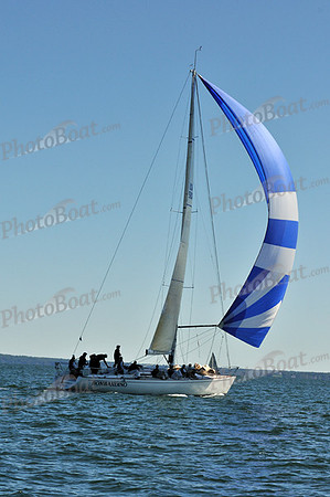 2010_AYC_FALL_4169