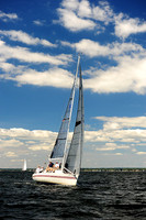 2014 Vineyard Race A 502