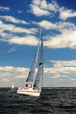 2014 Vineyard Race A 502
