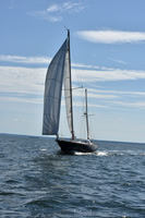 2019 Denmark Race_2142