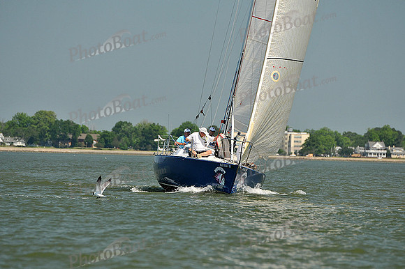 2013 Southern Bay Race Week A 144