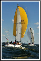 proof_2010_Vineyard_Race_0479