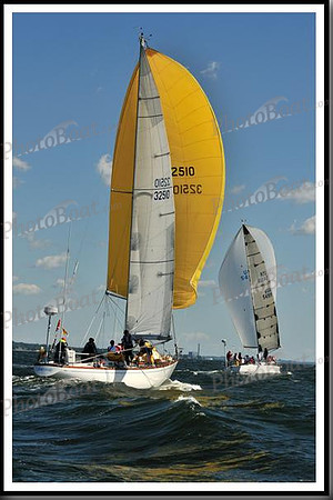 proof_2010_Vineyard_Race_0479