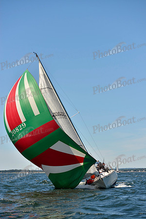 2017 Vineyard Race A_0176