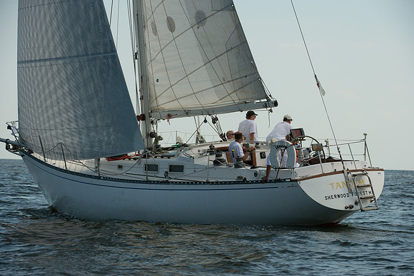 2015 Gov Cup A_0296