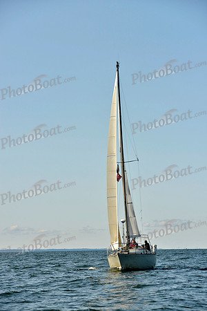 2017 Stamford Denmark Race_0182