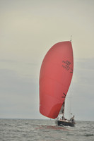 2016 Vineyard Race B_0568
