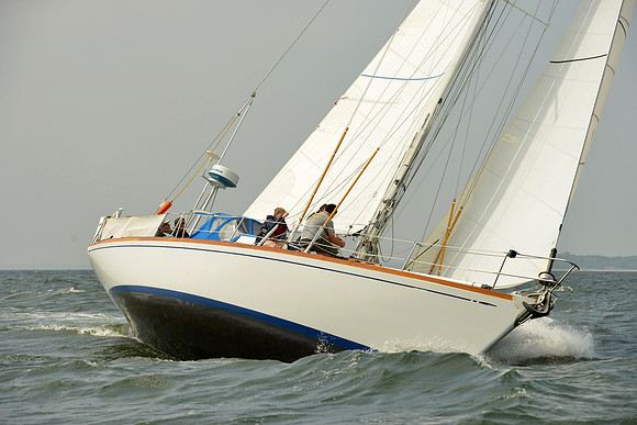 2015 Vineyard Race A 305