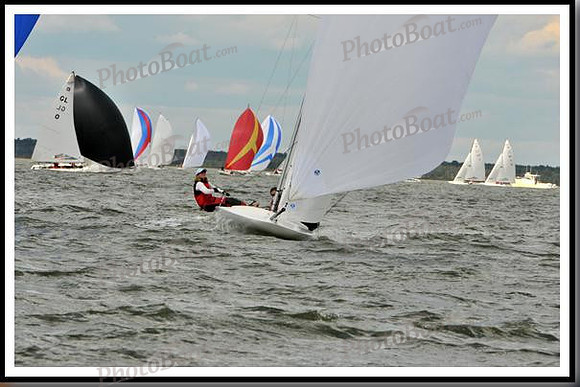 proof_2010_EScows_B 480