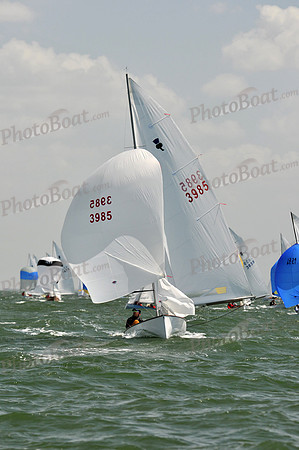 2012 Thistle Midwinters B 1254