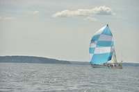 2016 Vineyard Race A_0969
