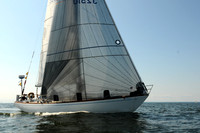 2011 Vineyard Race A 2099