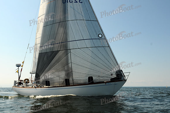 2011 Vineyard Race A 2099