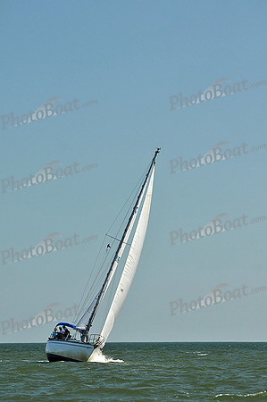 2013 Southern Bay Race Week D 159