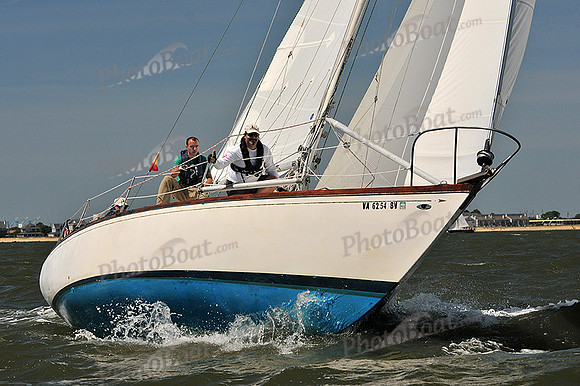 2014 Southern Bay Race Week D 290
