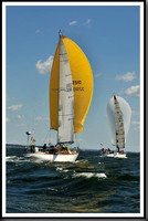 proof_2010_Vineyard_Race_0486