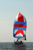 2013 Vineyard Race A 1932