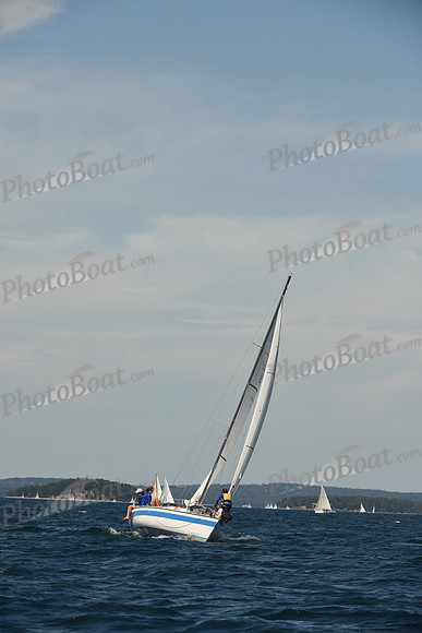 2016 Chester Race Week A_0431