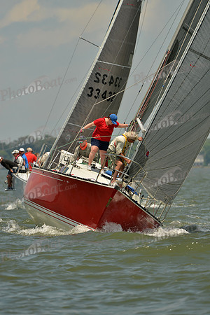 2016 Southern Bay Race Week F_1271