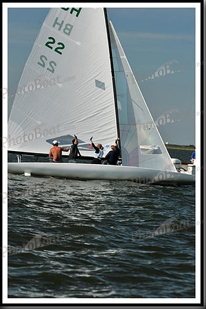 proof_2010_EScows_E 1411