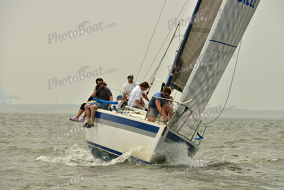 2016 Southern Bay Race Week A_0480