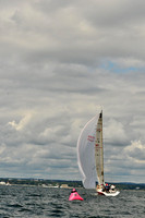 2010 IRC LIS 295