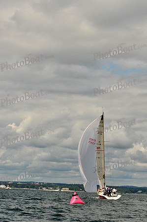 2010 IRC LIS 295