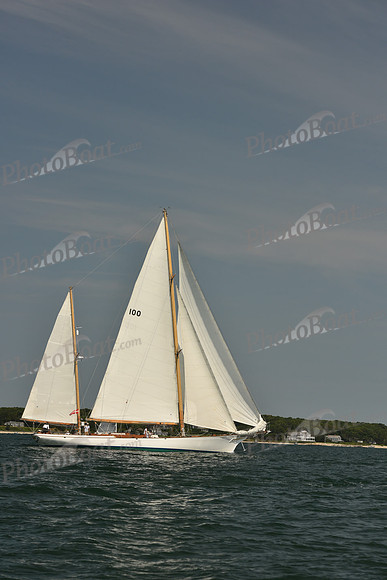 2018 Vineyard Cup A_0061