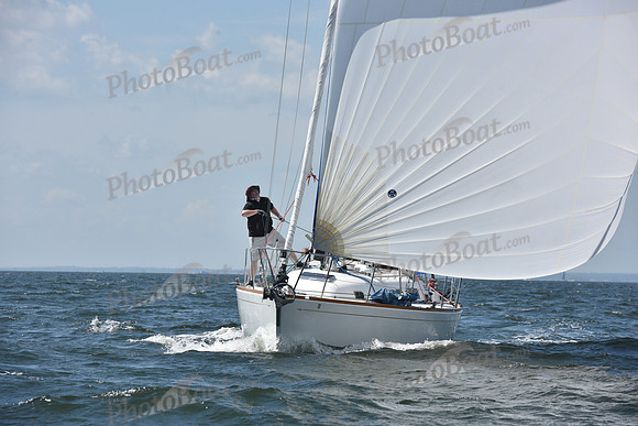 2020 Vineyard Race A_0766