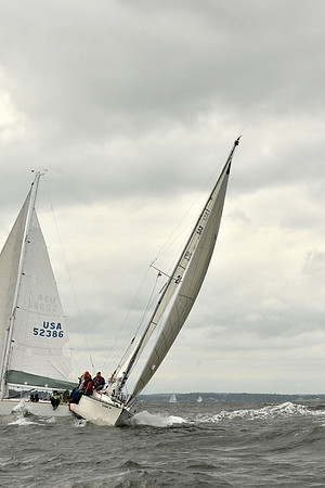 2018 Vineyard Race A_0773