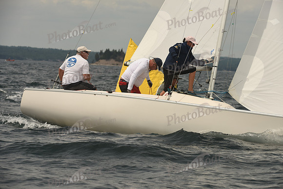 2016 Chester Race Week C_1005