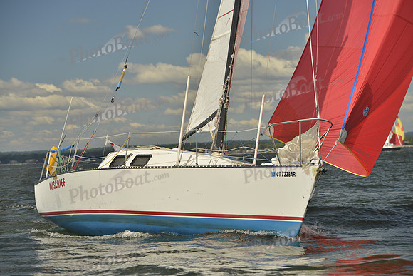 2016 Vineyard Race A_0370