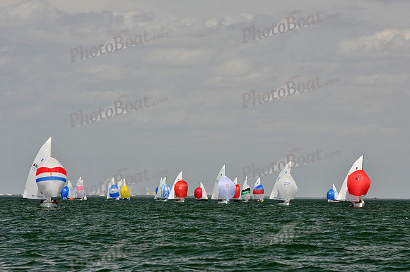 2012 Thistle Midwinters B 1440