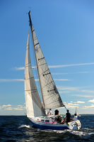 2014 Vineyard Race A 274