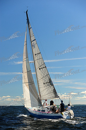 2014 Vineyard Race A 274