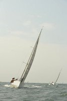2015 Vineyard Race A 1052